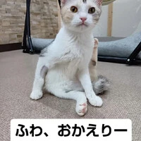 画像1323