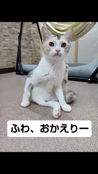 画像1323