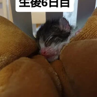 画像1325