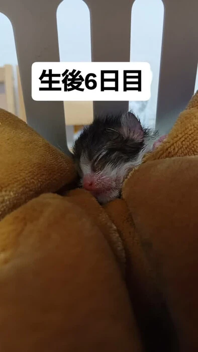 画像1325