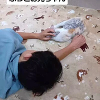 画像1331