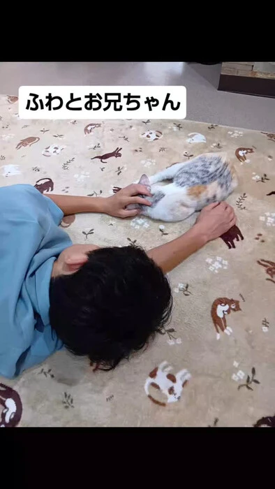 画像1331