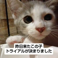 画像1337