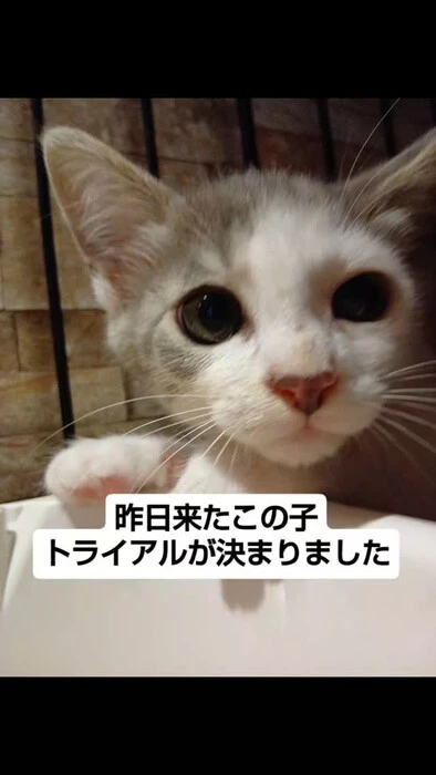 画像1337
