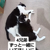 画像1343