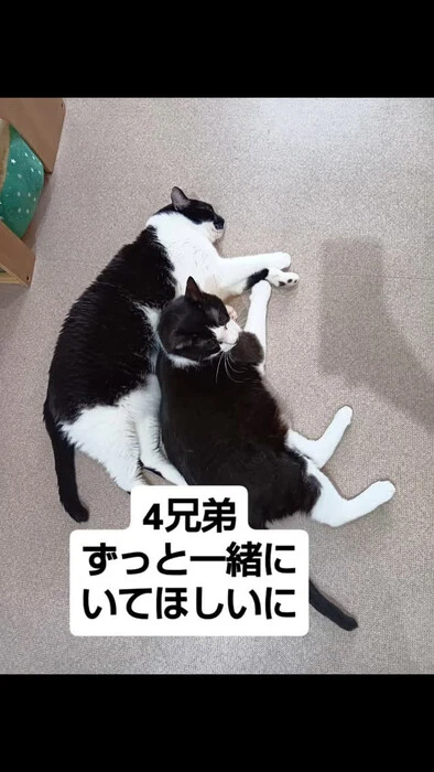 画像1343