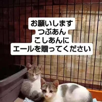 画像1345