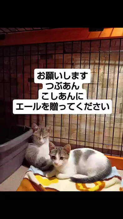 画像1345