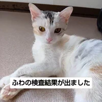 画像1347
