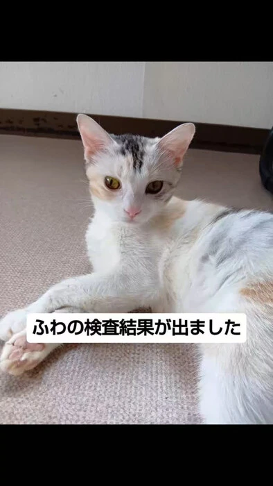 画像1347