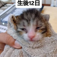 画像1349