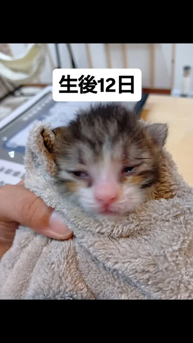 画像1349