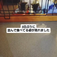 画像1351
