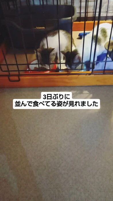 画像1351