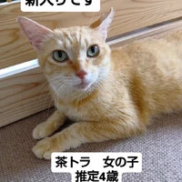 画像1353