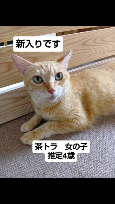 画像1353