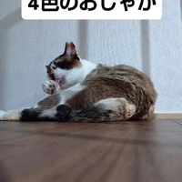 画像1355