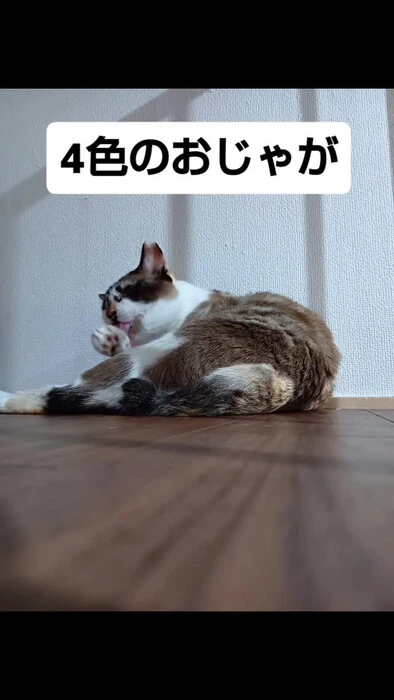画像1355
