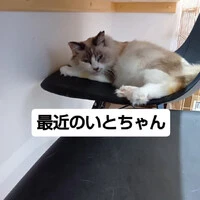 画像1357