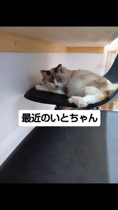画像1357