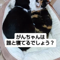 画像1359