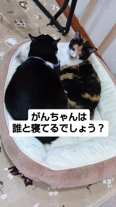 画像1359