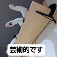 画像1361