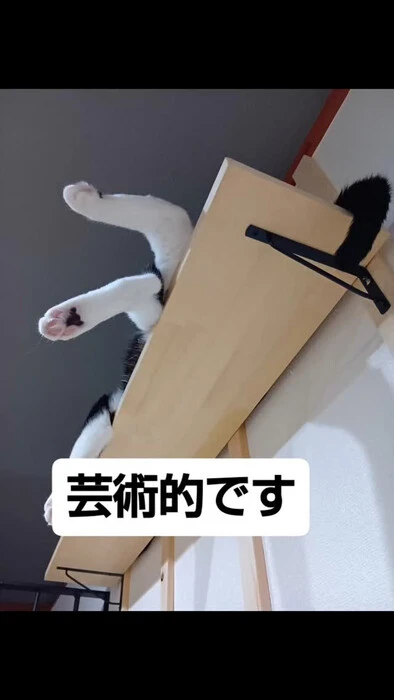 画像1361