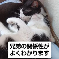 画像1363