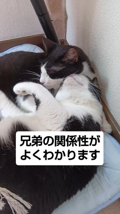 画像1363