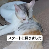 画像1365