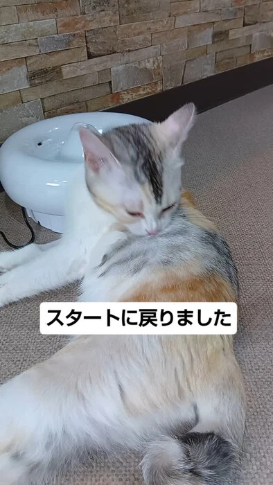 画像1365