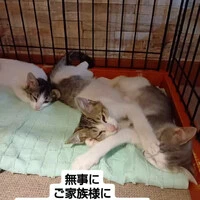 画像1367
