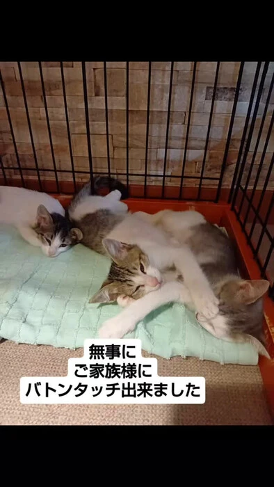 画像1367