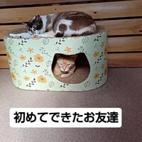 画像1369