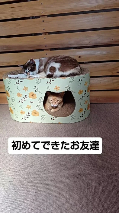 画像1369