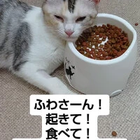 画像1371