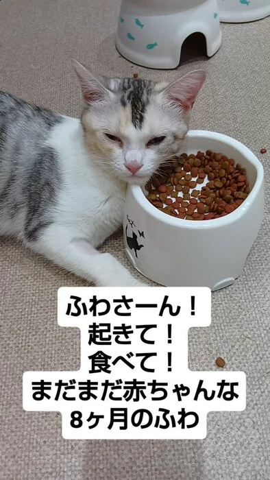 画像1371