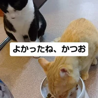 画像1373