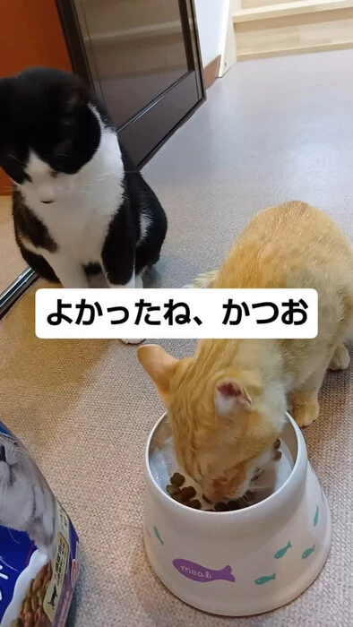 画像1373