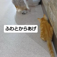 画像1378