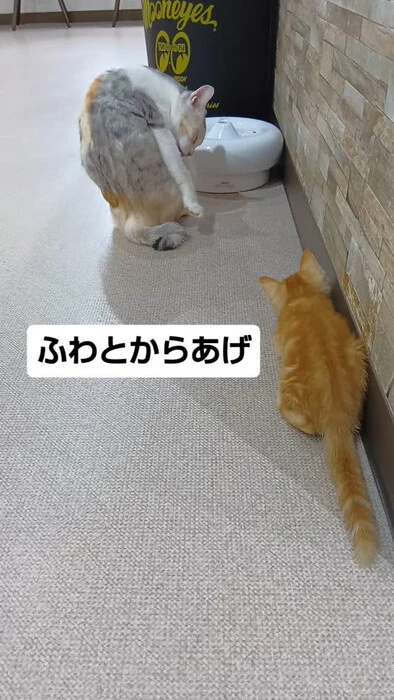 画像1378