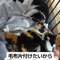 画像1380