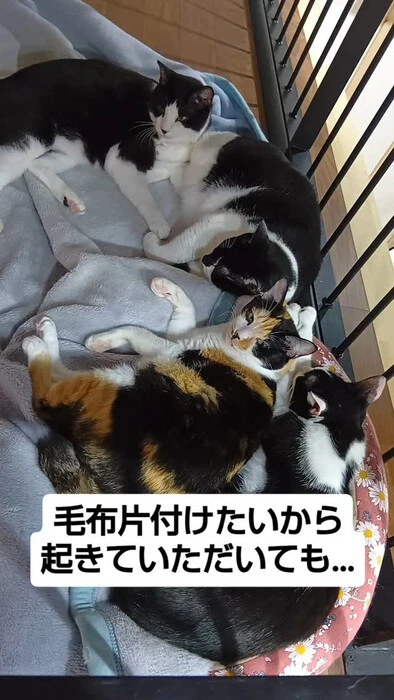 画像1380