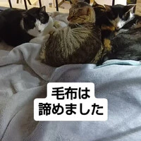 画像1382