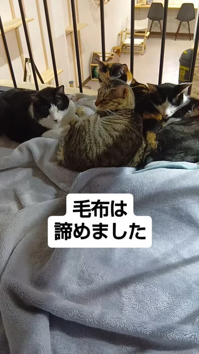 画像1382