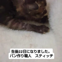 画像1384