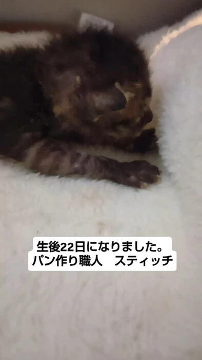 画像1384