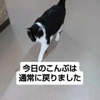 画像1386