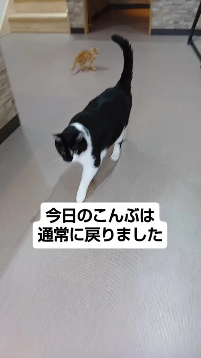 画像1386